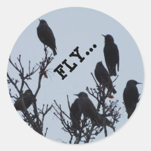 Fliegenminiaufkleber Runder Aufkleber
