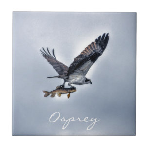 FliegenOsprey mit Foto der Hornhautfleck-Fisch-HDR Fliese