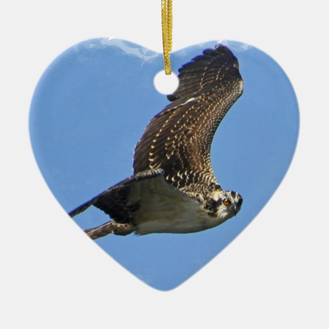 Fliegenosprey-Verzierung Keramikornament (Vorne)