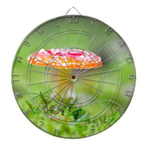 Fliegenpilz Dartscheibe