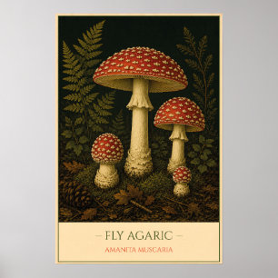 Fliegenpilz Poster