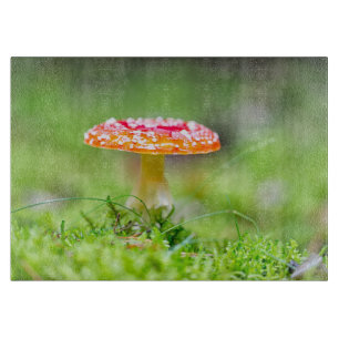 Fliegenpilz Schneidebrett