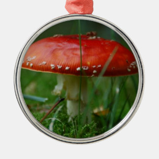 Fliegenpilz Silbernes Ornament