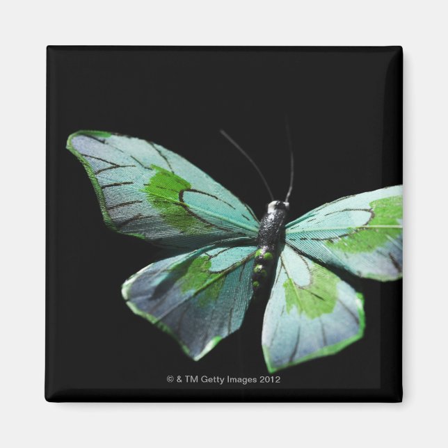 Fliegenschmetterling Magnet (Vorne)