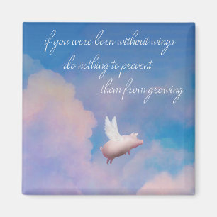 Fliegenschweinmagnet Magnet