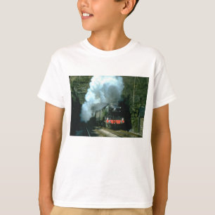 FliegenScotsman fing zwischen Tunnels an Barons W T-Shirt
