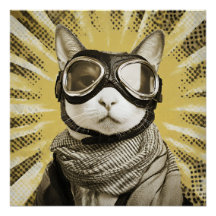Fliegerkatze mit Schutzbrille Sonnenstrahlen-Portr