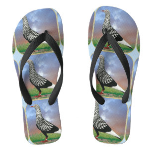 Fliegertaube und Wolken Flip Flops