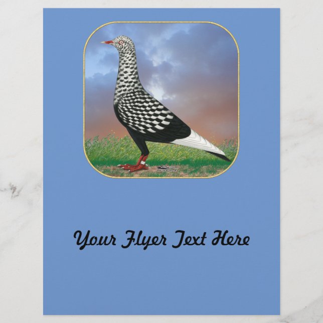 Fliegertaube und Wolken Flyer (Vorne)