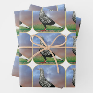 Fliegertaube und Wolken Geschenkpapier Set