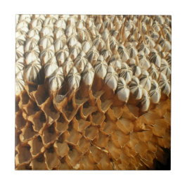 Fliese - Sonnenblumensamen