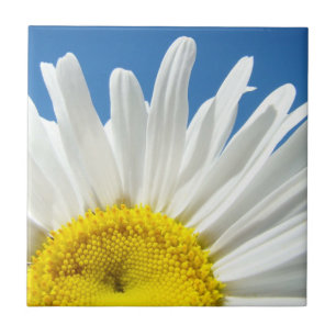 Fliesen Kunst Weiße Gänseblümchen Blaue Himmel Nat