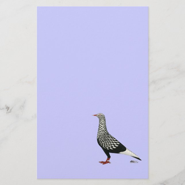 Flight Teager-Taube (Vorderseite)