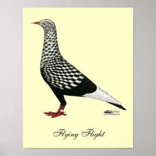 Flight Teager-Taube Poster