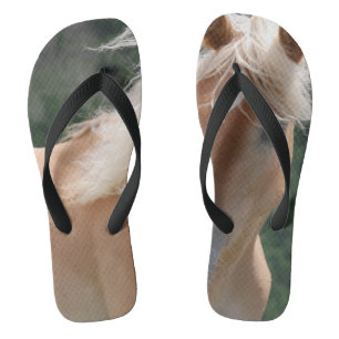 Flip Flops _ Pferd