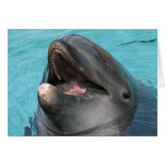 Flipper