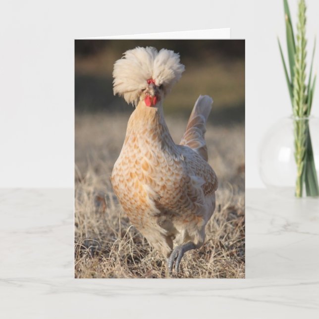 Flippige Huhn-Gruß-Karte Karte (Vorderseite)