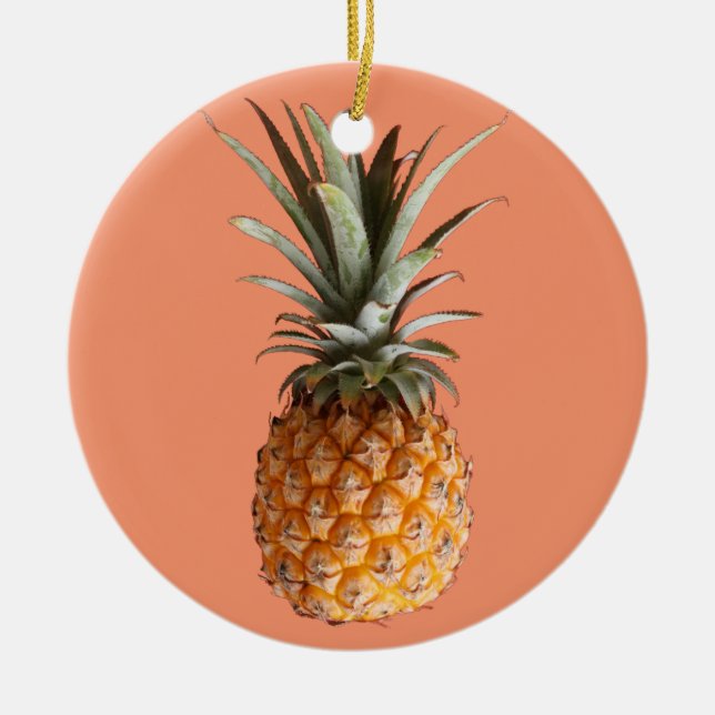 Flippige leckere Ananas-Kreis-Verzierung Keramik Ornament (Vorne)