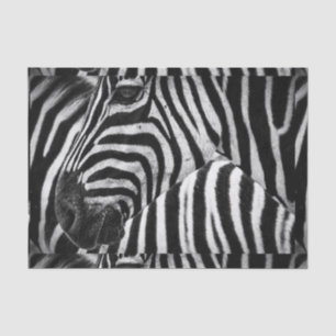 Flippiger Schwarzweiss-Zebra Seidenpapier