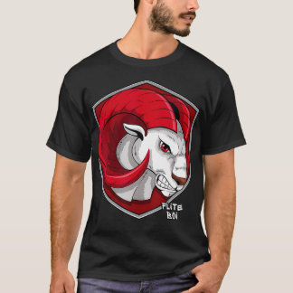 Flite Boi WinstonSalem Staat WSSU Rams Graphic T-Shirt