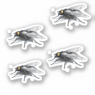 Flly Buddy 4 petits autocollants de contour