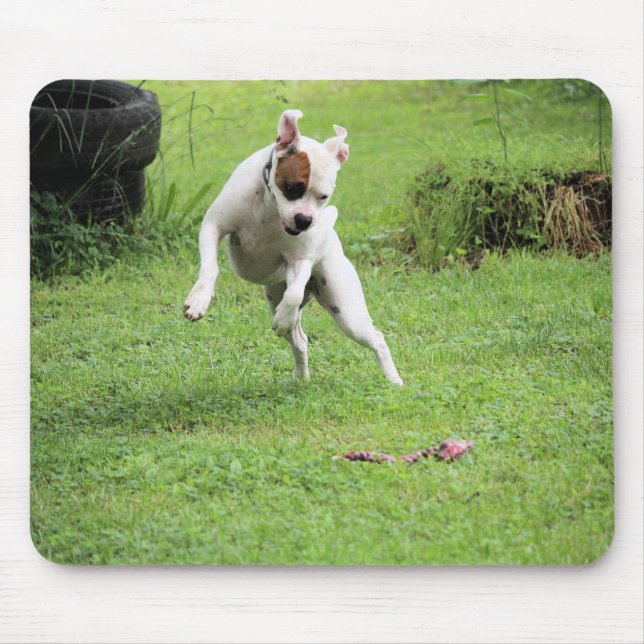 Float Mousepad (Vorne)