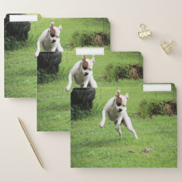 Float Papiermappe