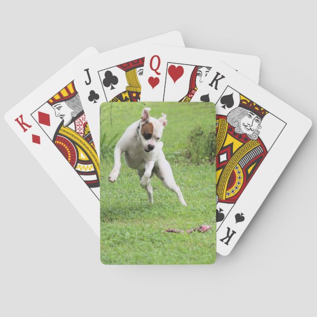 Float Spielkarten (Rückseite)