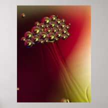 Floating Abstrakte Blasen farbenfroher Hintergrund