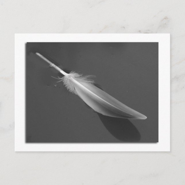 Floating Feather Postcard Postkarte (Vorderseite)