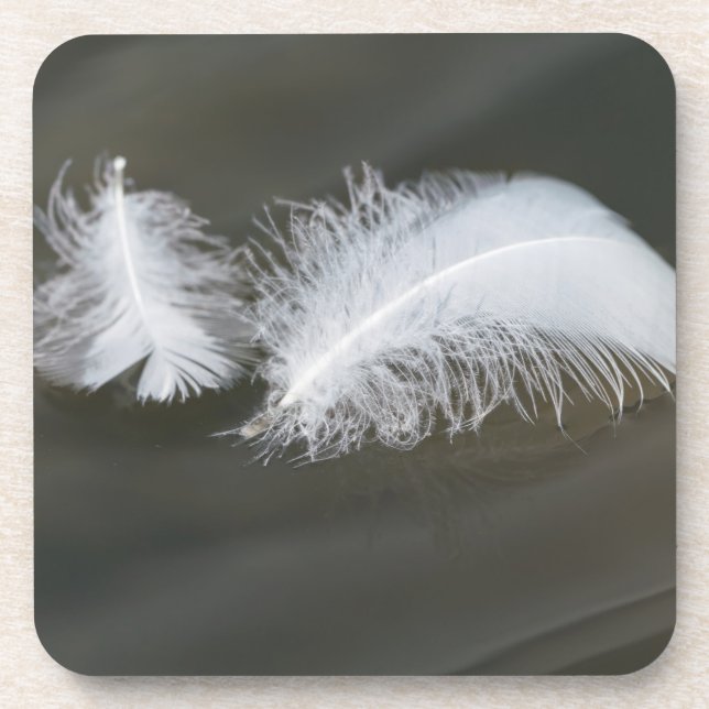 Floating Gänsefeathers Getränkeuntersetzer (Vorderseite)