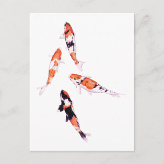 Floating Koi Postcard Postkarte