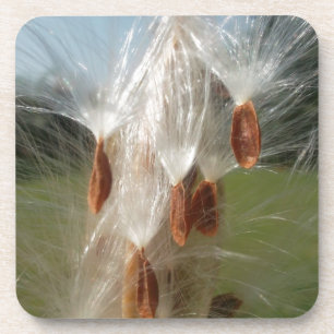 Floating Milkweed Seeds Art Print/Graphic Getränkeuntersetzer