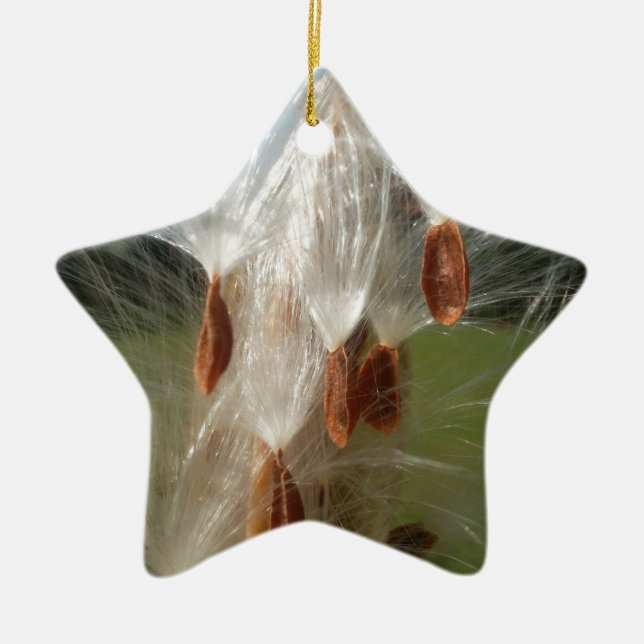 Floating Milkweed Seeds Art Print/Graphic Keramikornament (Vorne)