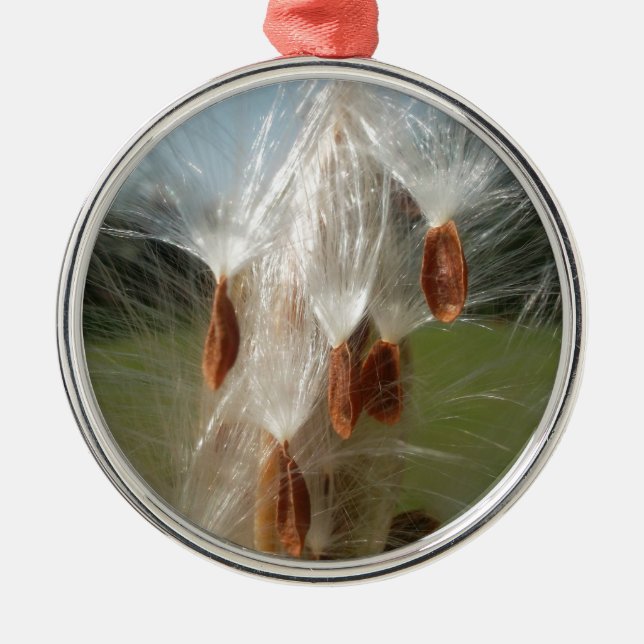Floating Milkweed Seeds Art Print/Graphic Ornament Aus Metall (Vorne)