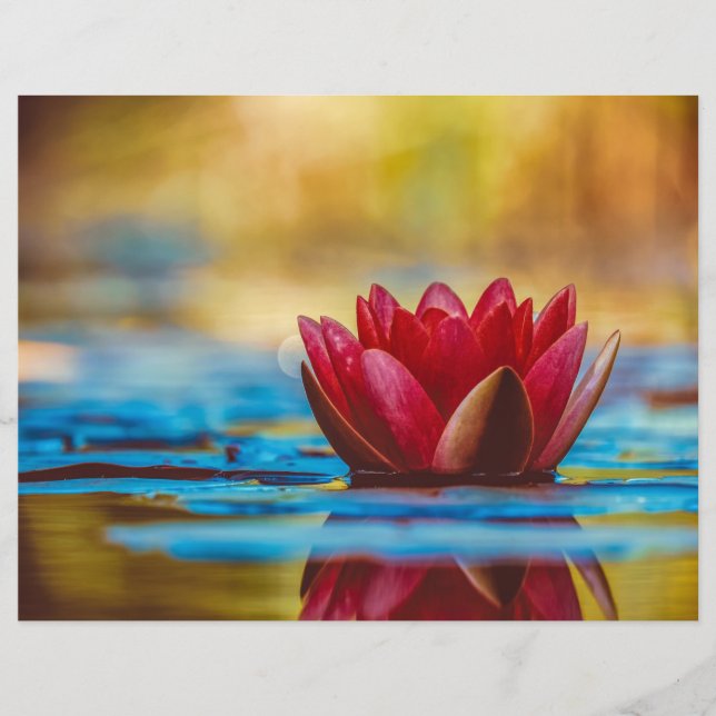 Floating Red Lotus Scrapbook Paper (Vorderseite)