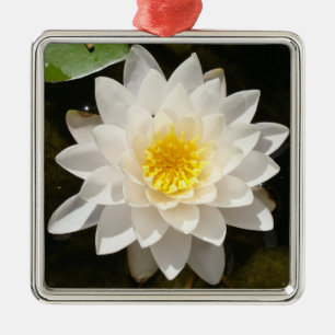 Floating White Wasserlilie Lotus Ornament Aus Metall