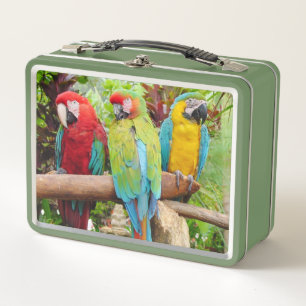 Flock der farbenfrohen Ara Parrots Metall Brotdose