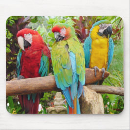 Flock der farbenfrohen Ara Parrots Mousepad
