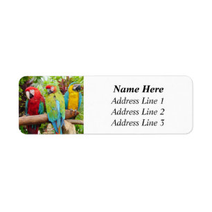 Flock der farbenfrohen Ara Parrots Rücksendeadress