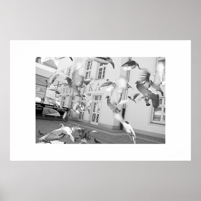 Flock - Gerahmter Druck Poster (Vorne)