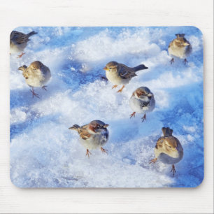 Flock House Sparrows "Passer domesticus" on Mousepad