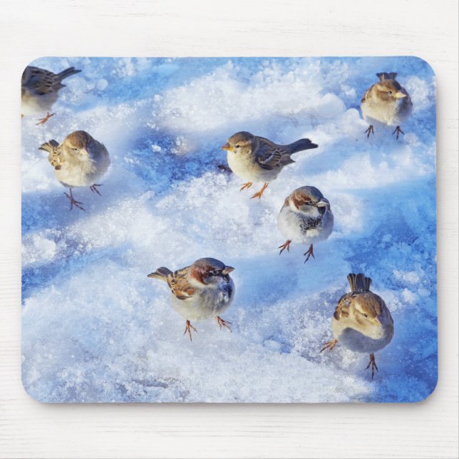 Flock House Sparrows "Passer domesticus" on Mousepad (Vorne)