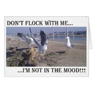 Flock nicht mit mir