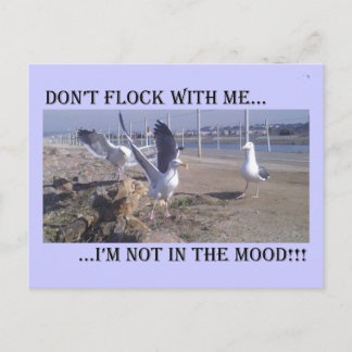 Flock nicht mit mir postkarte