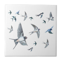 Flock of Fly Swallow Birds Illustration