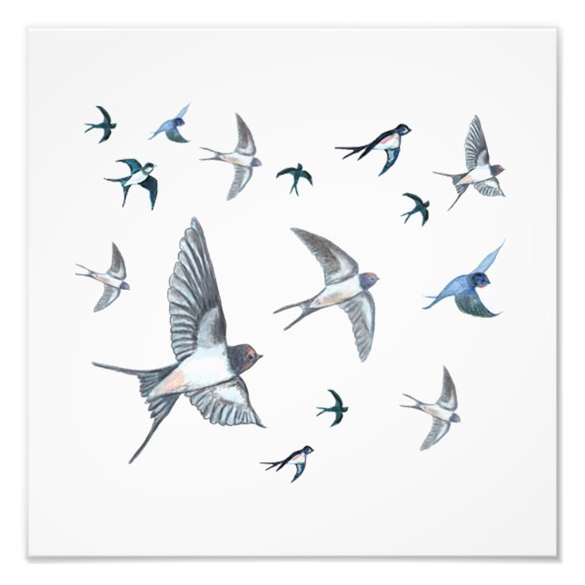 Flock of Fly Swallow Birds Illustration Fotodruck (Vorne)