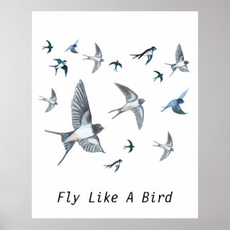 Flock of Fly Swallow Birds Illustration Poster