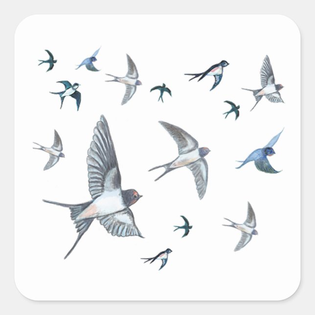 Flock of Fly Swallow Birds Illustration Quadratischer Aufkleber (Vorderseite)