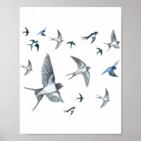  Flock of swallow birds flying